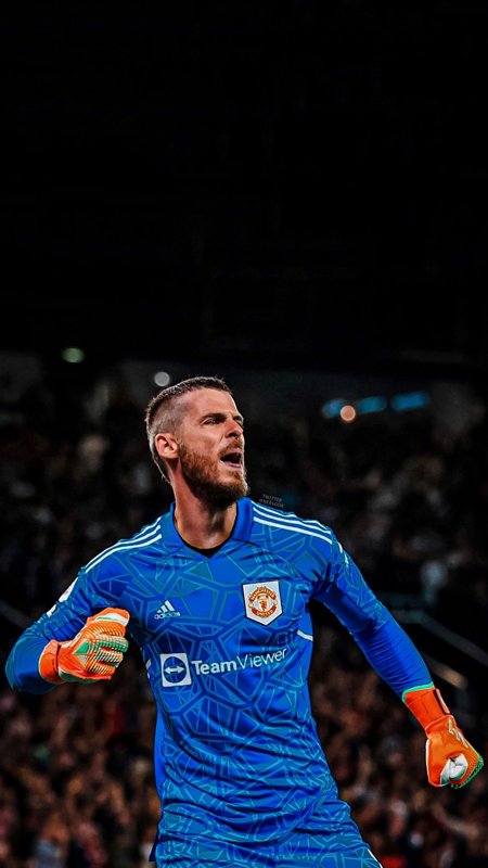 Cập nhật hình nền David De Gea để thưởng thức các khoảnh khắc nổi bật của cầu thủ này.